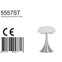 Steinhauer Steinhauer Table lamp ANCILLA, 1 flame, glass, steel