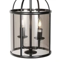 Steinhauer Luminaire à suspension PIMPERNEL à 2 flammes E14 IP20, noir gradable