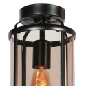 Steinhauer Luminaire de plafond PIMPERNEL E27 IP20, noir gradable