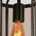 Steinhauer Luminaire de plafond PIMPERNEL E27 IP20, noir gradable