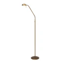 Mexlite Floor lamp BIRON, 1 flame, bronze