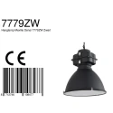 Mexlite Mexlite Pendant luminaire DENSI, 1 flame, black