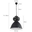 Mexlite Mexlite Pendant luminaire DENSI, 1 flame, black
