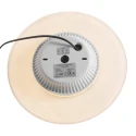 Steinhauer Luminaire de plafond LIDO à 1 flamme IP20, or gradable