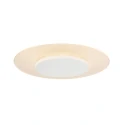 Luminaire de plafond LIDO rond, médium, indirect, perforé IP20, noir mat gradable