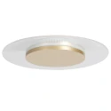 Luminaire de plafond LIDO à 1 flamme IP20, or gradable
