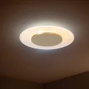 Steinhauer Luminaire de plafond LIDO à 1 flamme IP20, or gradable