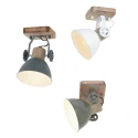 Mexlite Mexlite Spot GEARWOOD, 1 flame, green