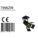 Mexlite Mexlite Spot CARRÉ, 1 flame, studio spotlight, black