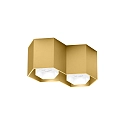 Wever & Ducré Downlight HEXO 2.0 - PAR16 à 2 flammes, angulaire, sans réflecteur GU10 IP20, or gradable