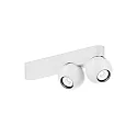Luminaire de plafond LECA 2.0 à 2 flammes, pivotant à la cardan IP20, blanc mat gradable