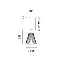 Wever & Ducré pendant luminaire WIRO 1.0 CONE CEILING SUSP E27 IP20, black 