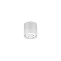 Spot RAY MINI CEILING SURF 1.0 PAR16 GU10 IP20, blanc mat 