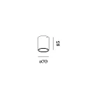 downlight RAY MINI 1.0 down, cylindrical, surface-mounted version IP20, champagner dimmable