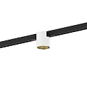 Projecteur sur rail HEXO ON STREX 1.0 avec adaptateur IP20, or, noir mat, blanc mat gradable