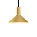 Luminaire à suspension ODREY CEILING SUSP 1.6 PAR16 GU10 IP20, or 