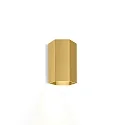 Luminaire mural HEXO MINI 1.0 - PAR16 à 1 flamme GU10 IP20, or gradable